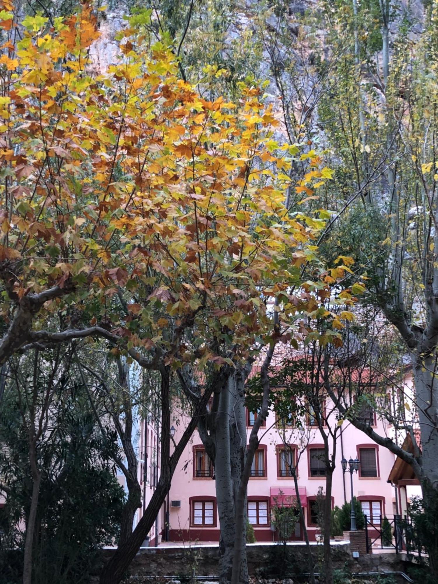 巴尔内阿里奥坎德拉圣女酒店 哈拉瓦 外观 照片